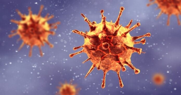 Coronavirus