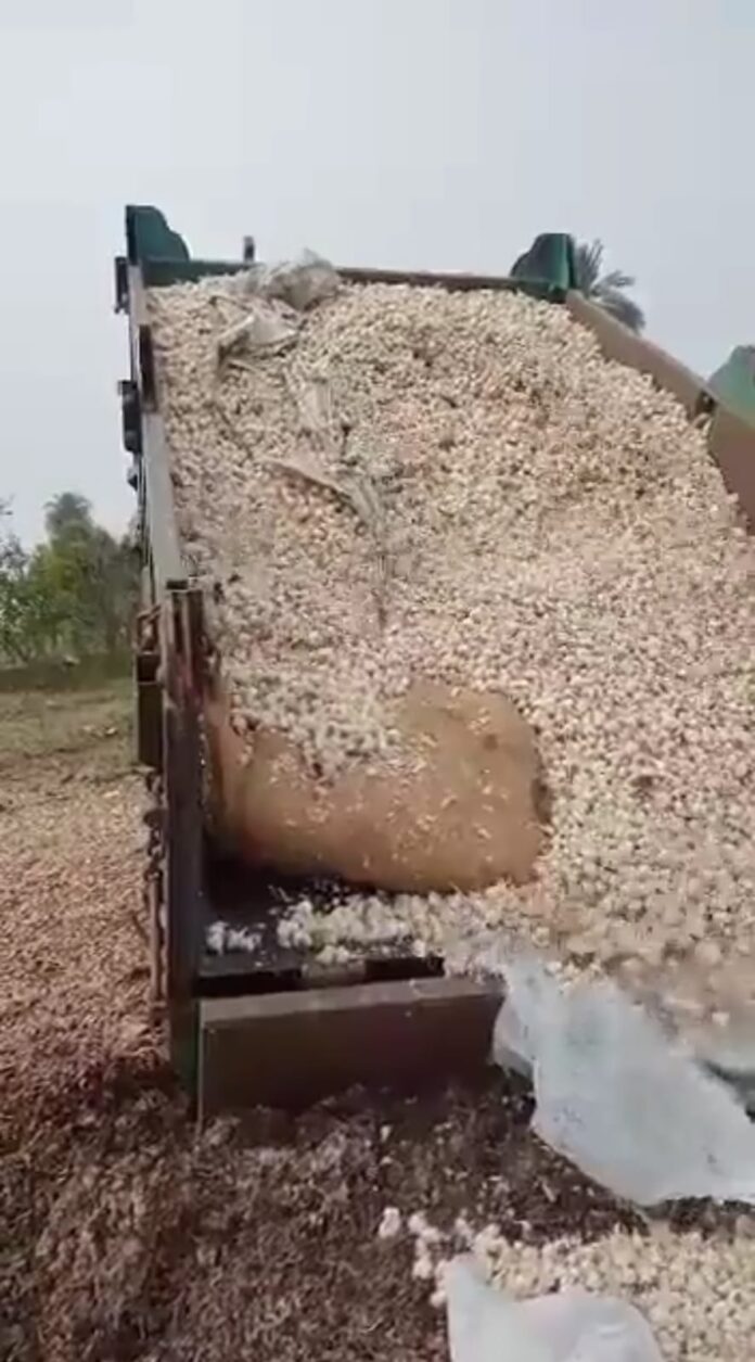 WhatsApp Image 2022-01-10 at 3.34.16 AM