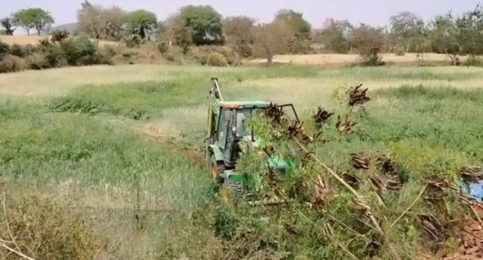 WhatsApp Image 2022-03-25 at 4.57.41 PM