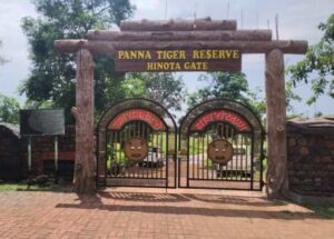 panna tiger reserve 1 panna tiger reserve 1