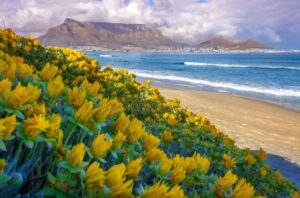 beautiful coastline false bay table mountain cape town city sunrise south africa 179046932 beautiful coastline false bay table mountain cape town city sunrise south africa 179046932