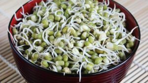 mung bean sprouts 480x270 1 mung bean sprouts 480x270 1
