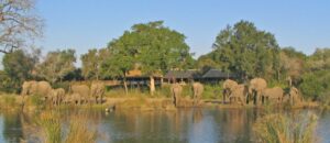 sabi sabi little bush camp sabi sabi little bush camp