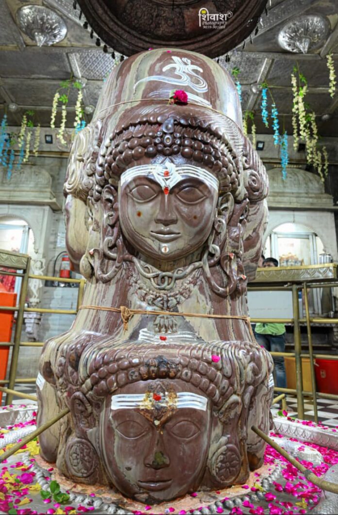 WhatsApp Image 2022-07-17 at 6.13.46 PM