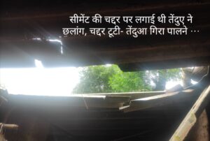 WhatsApp Image 2022 08 23 at 10.44.50 PM 1 WhatsApp Image 2022 08 23 at 10.44.50 PM 1