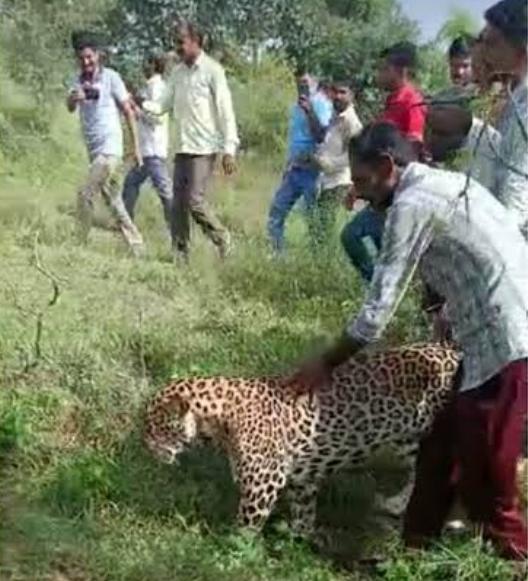 WhatsApp Image 2023-08-30 at 13.25.57